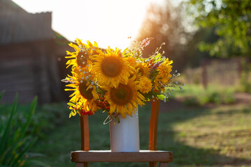 Beautiful autumnal bouquet of bright yellow sunflower flowers in white vase. Autumn still life with garden flowers.