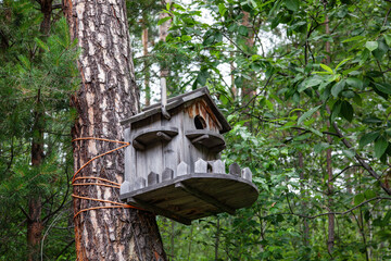 Wooden birdhouse on a tree in the park, close-up. An unusual birdhouse in the form of a house with a fence.