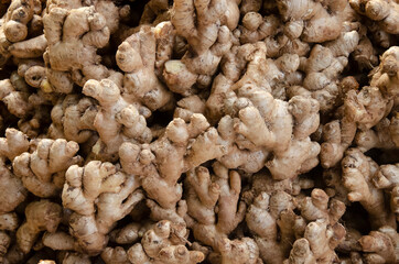  Indian Ginger in lagre quantity. 