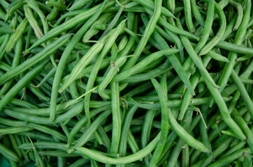 Fresh green beens vegetable in large quantity. Also uses for texture or background.