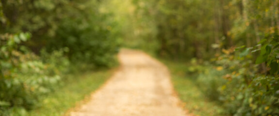 Fototapeta na wymiar Autumn forest, background, texture, blurred image