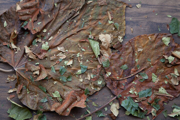 Colorful dry autumn leaves on top of wooden floor. Neutral colors brown, green, orange.