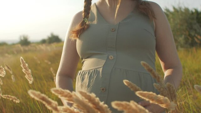 pregnant woman belly in field among golden dry fluffy grass at sunset, female hand touch baby, relaxation on nature, preparation for childbirth and happy motherhood