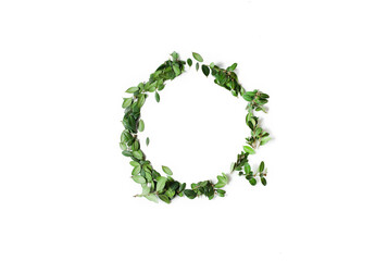 round frame made of green leaves isolated on white background. copy space