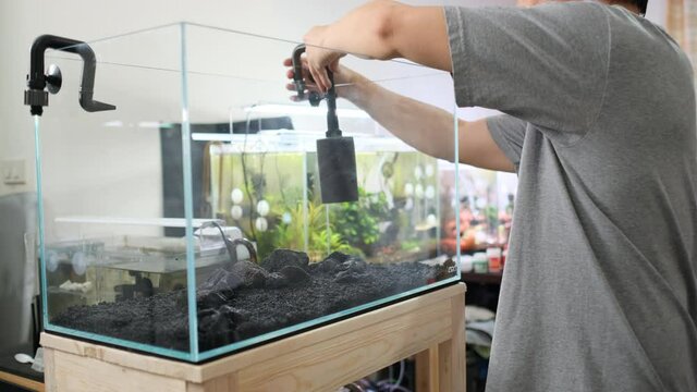 Trick of set up Aquarium tank at home with step of attach inflow part of strainer to wall of the fresh water tank.