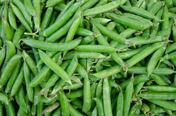 Fresh green pea in large quantity. Also uses for background or texture.