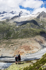 Obraz premium Hikers standing at the edge of the Aletsch Glacier marveling at the wonderful landscape in the region.