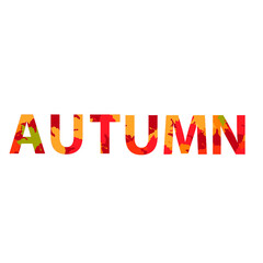 Autumn sale