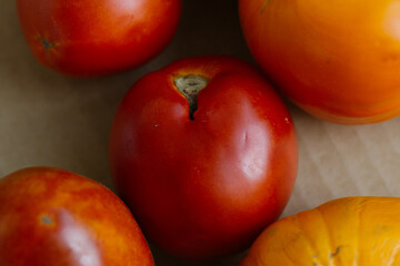 not ideal vegetables: shriveled tomatoes from the effects of heat as a result of global warming and...
