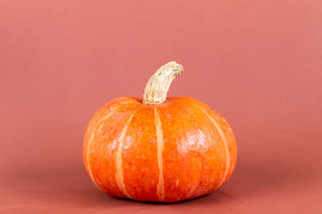orange pumpkin isolated on brown background, empty space for text 
