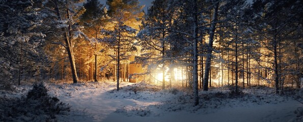 Illuminated wooden cabin (sauna) in a coniferous forest at night. A pathway through the snow-covered pine trees after a blizzard. Winter wonderland. Finland lake region © Alex Stemmer