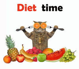 A beige cat with a knife and a fork is eating fruit. Diet time. White background. Isolated.