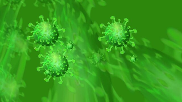 illustration of coronavirus in 3d animation format