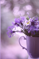 Macro photo of wild flowers with a blur effect