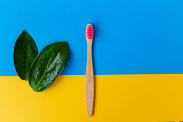 Creative composition with  Bamboo Toothbrushes and green leaves, on a colored  background with copyspace for text or your presentation. Concept for a natural organic oral care product. 