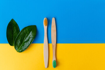 Creative composition with  Bamboo Toothbrushes and green leaves, on a colored  background with copyspace for text or your presentation. Concept for a natural organic oral care product. 