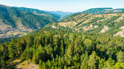 Fototapeta premium Forest and tree landscape texture background. Aerial top view of forest. Texture of forest view from above..