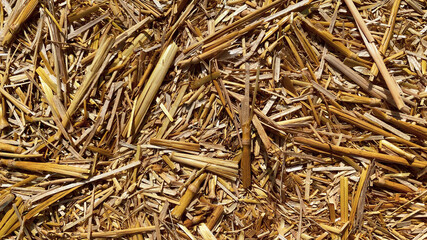 Hay in a bale in a sunny day close-up. Food product for farm animals, farming concept
