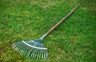 Metal rake with a wooden handle on the green grass in the garden. Cleaning of the territory in the...