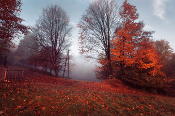 Fototapeta Jesienny pejzaż obraz