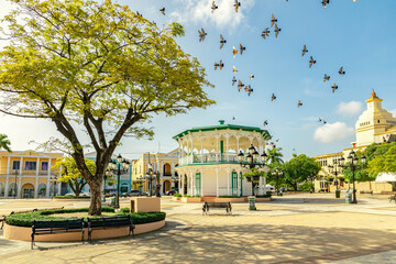 Flying birds in the sky of the Central Park in Puerto Plata, Independence Square, Plaza de...
