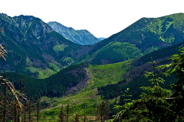 Tatry, górski krajobraz z trasy na Grzesia
