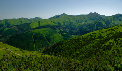 Fototapeta na wymiar Tatras, paysage de montagne