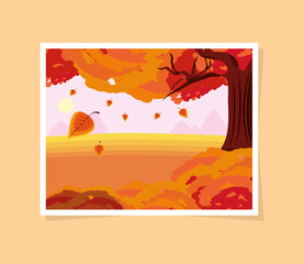 autumn tree falling leaves