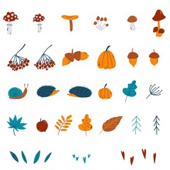 Set of vector autumn elements as pumpkin, rowan, spruce, acorn, mushrooms, hedgehog, leaves, snail, apple, rain, heart, fly agaric in hand drawn cartoon style. Fall illustration for for baby apparel