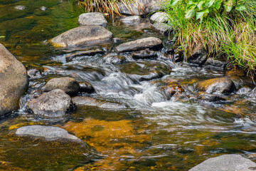 Fototapeta na wymiar flowing brook on a summers day
