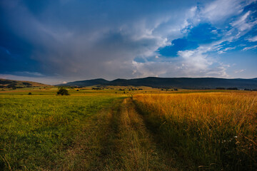 Krajobraz w lecie w Beskidzie