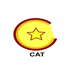 Obraz premium star logo design.