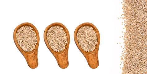 Chenopodium quinoa - Dry organic quinoa seeds