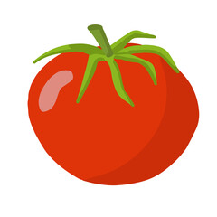 Fresh tomato  hand-drawn vector illustration. Vegatarian and diet tomatoes. . Fresh and organic food. Vegetarian ingredient for salad.