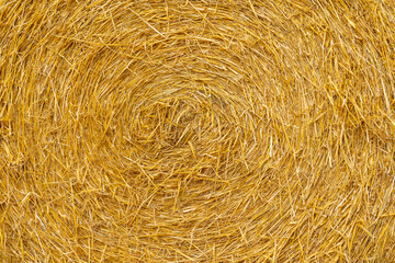 Texture of straw bale.