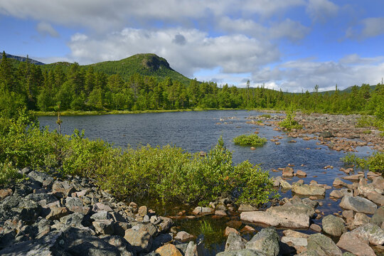 National Park Stora Sjöfallet/Stuor Muorkke, Laponian Area - The Arctic Circle Region Of Northern Sweden Is The Home Of The Saami People - UNESCO World Heritage Of Sweden