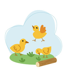 Vector illustration with yellow chicks on a background of sky and grass in flat style.
