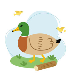 Vector illustration with a duck on a background of sky and grass in flat style.