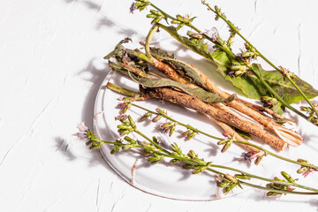 Fresh flowers and roots of chicory on a ceramic stand