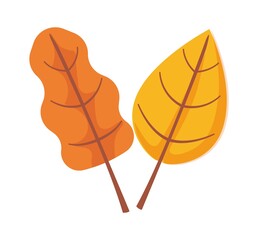 Autumn leaf object clipart. Birch and oak icon