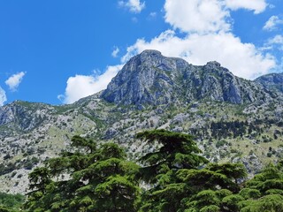 Obraz premium the old town of kotor montenegro