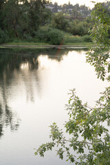 River by the city in the summer park day time 