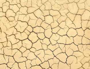 Cracked soil of barren land. Wasteland texture close up