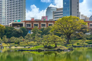 Ukishima or floating island in the pond Oizumisui of the Japanese Kyu-Shiba-Rikyu garden with the pedestrian deck and observatory of this National designated scenic spot.