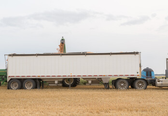 loading grain onto a semi trailer truck
