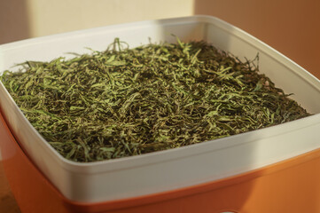 Preparation of medicinal herbs in an electric dryer. General view of the tray with dry herbs.