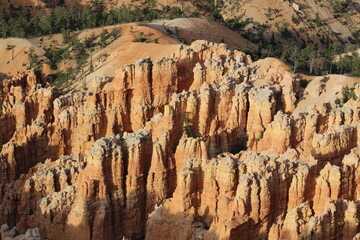 Bryce Canyon Hoodoos