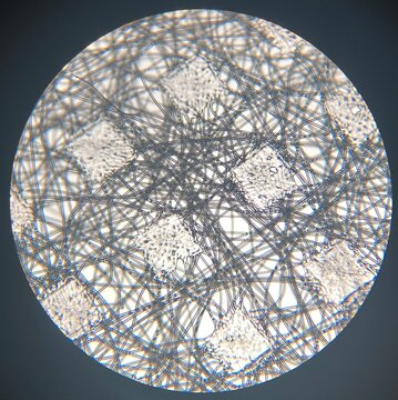 Photo Of Medical Face Mask Fibers Under Microscope