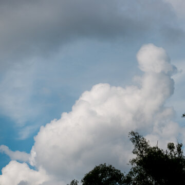 phallic cloud