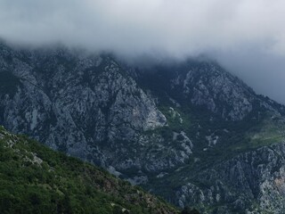 fog in the mountains